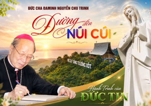 TRUNG TÂM HÀNH HƯƠNG ĐỨC MẸ NÚI CÚI – Công Trình Giáo Phận Xuân Lộc Dâng Mẹ Maria Vô Nhiễm