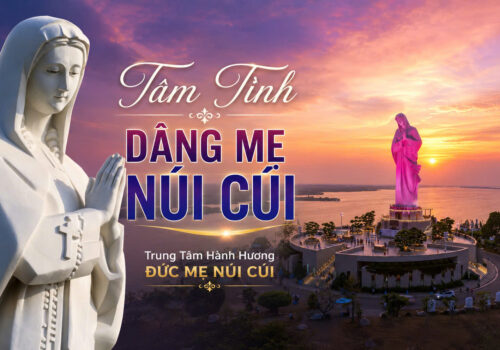 TÂM TÌNH DÂNG MẸ NÚI CÚI, Chúa nhật XX Thường niên – Năm A