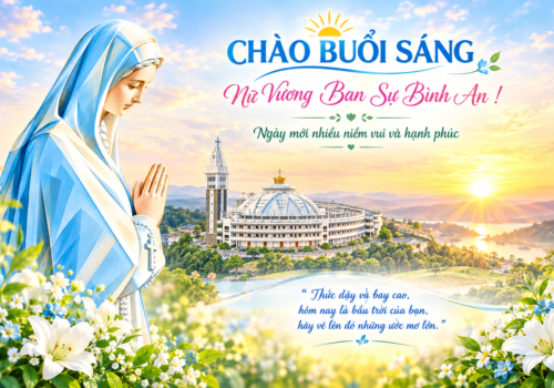 TÂM TÌNH DÂNG MẸ NÚI CÚI, Chúa Nhật XXV Thường Niên